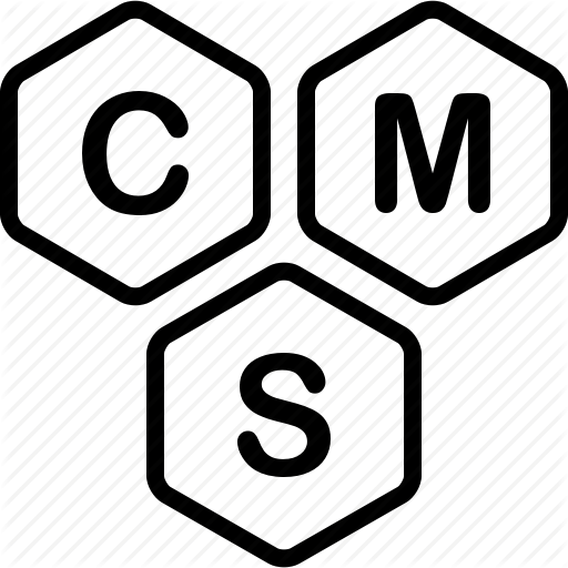 CMS Service Provider