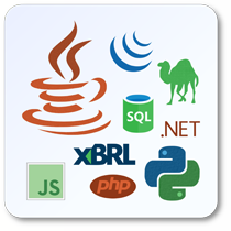 custom software development